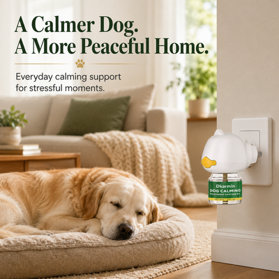 Dog Calming Diffuser Kit Relaxing Anti Anxiety Relief New Environment Stress Preventing Urinary Incontinence Pet Soothing Liquid
