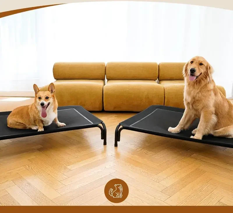 Elevated Dog Bed
