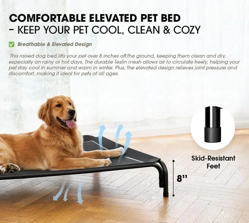 Elevated Dog Bed